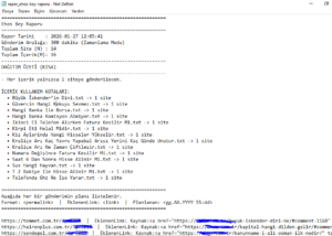 örnek rapor tanıtım yazısı